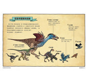 達克比辦案6：暴龍遇到雞：動物的祖先與演化