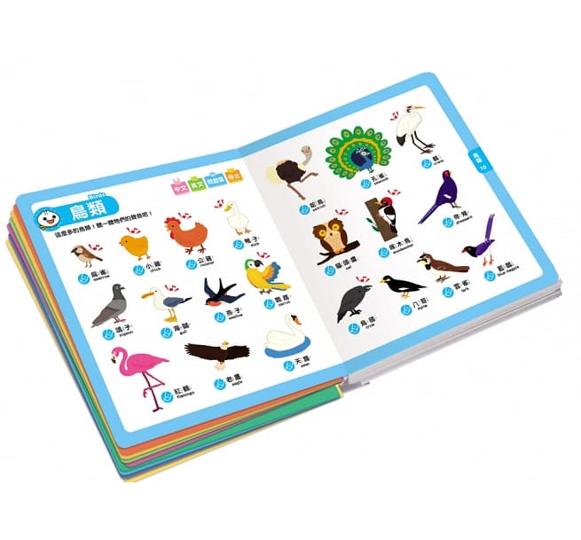 [新品]Food超人點讀認知圖鑑　子供絵本　音声本　タッチペン 中文教具】0-6歲Food超人點讀認知圖鑑*新版* – Yo! Baby Shop